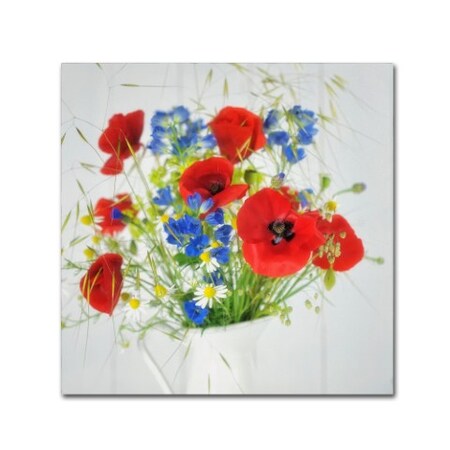 Cora Niele 'Wildflower Bouquet' Canvas Art,18x18